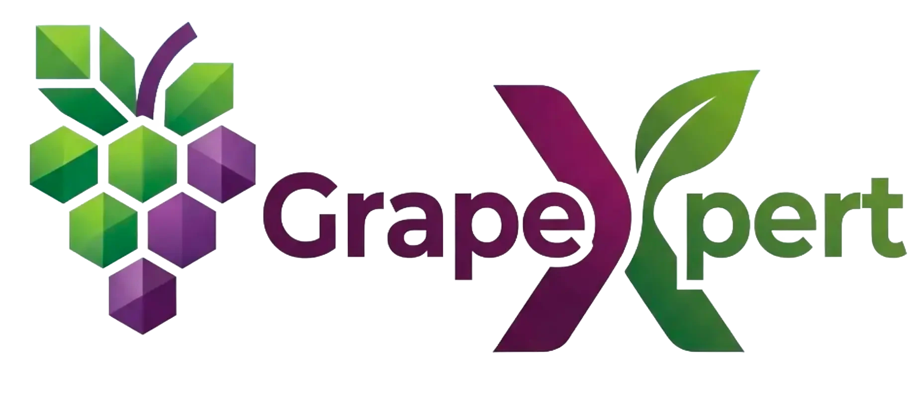 GrapeXpert